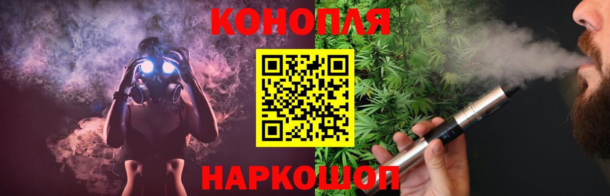 Бошки Шишки план Кубинка
